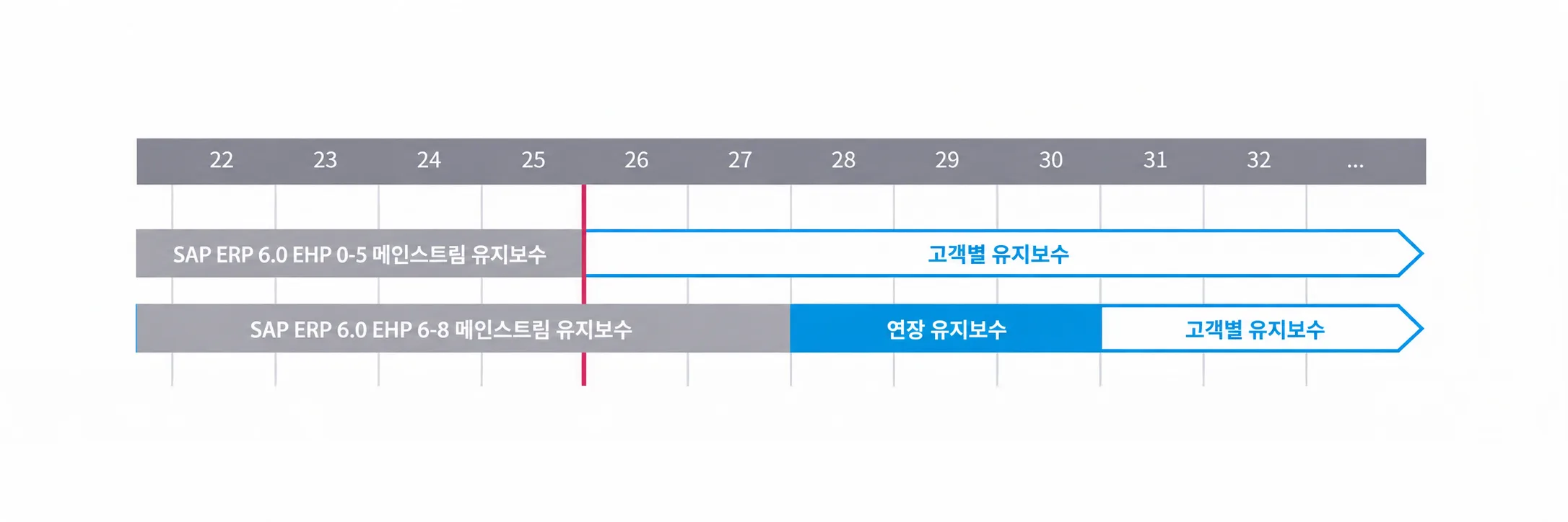 SAP ECC 유지보수 및 전환 일정